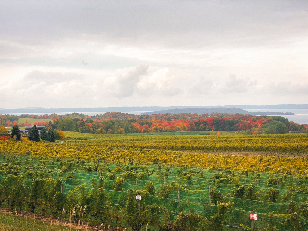Michigan winery landscape