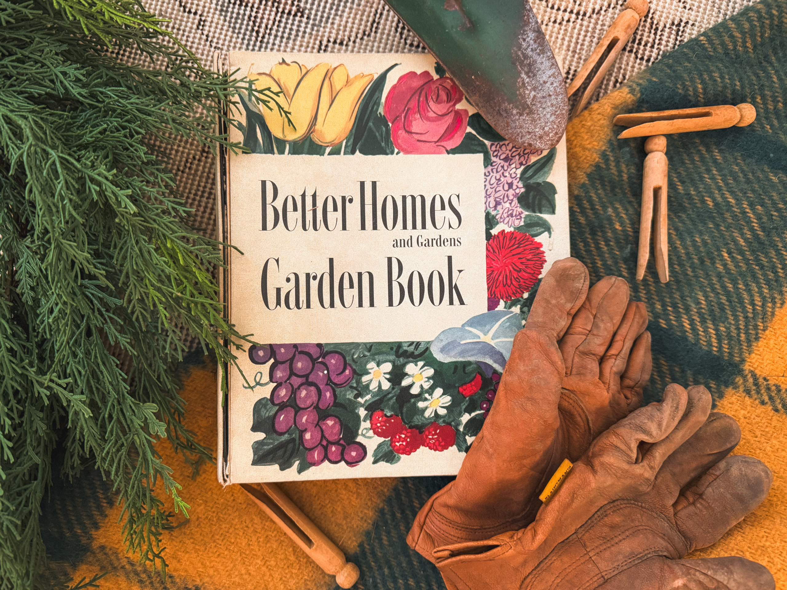 Gardening 101: Growing Zones, Sunlight, and Layout