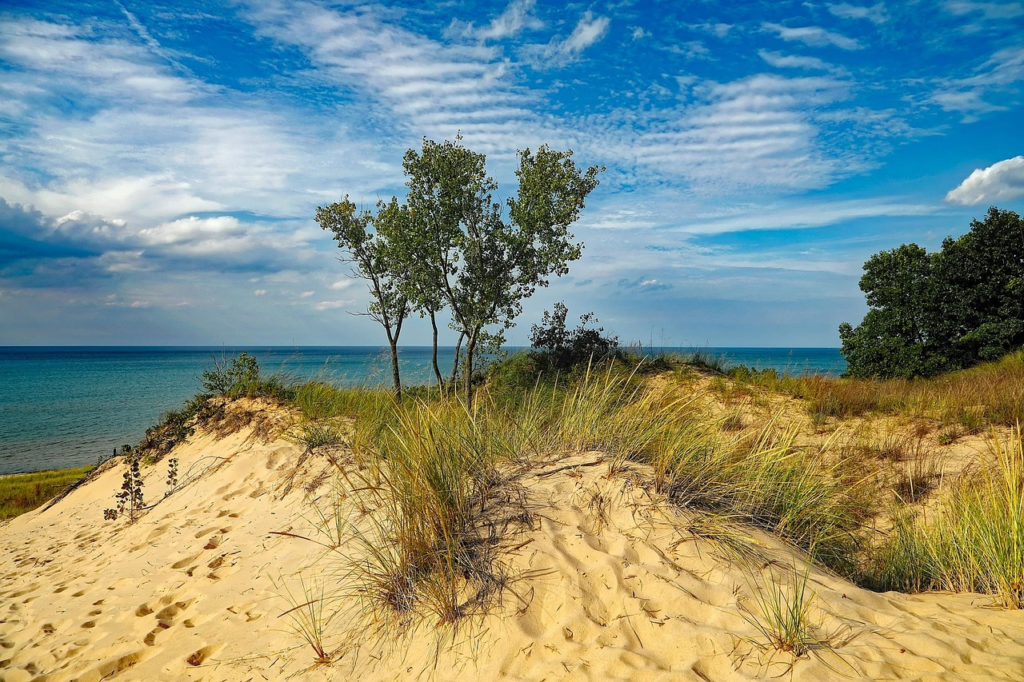 Indiana Dunes State Park dunes