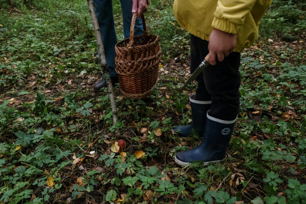 A forager holding a knife and a basket in a forest.