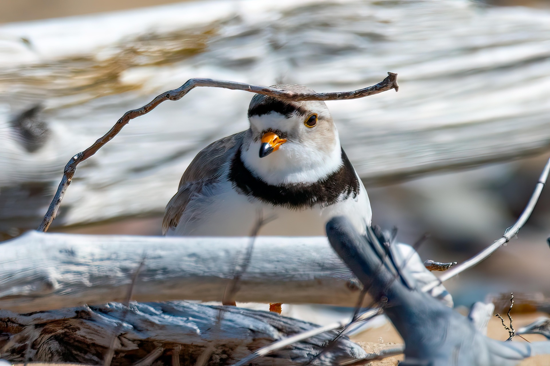 Stewarding the Great Lakes: Five Ways You Can Make an Impact This Earth Day