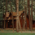 Wooden cabin set in the woods.